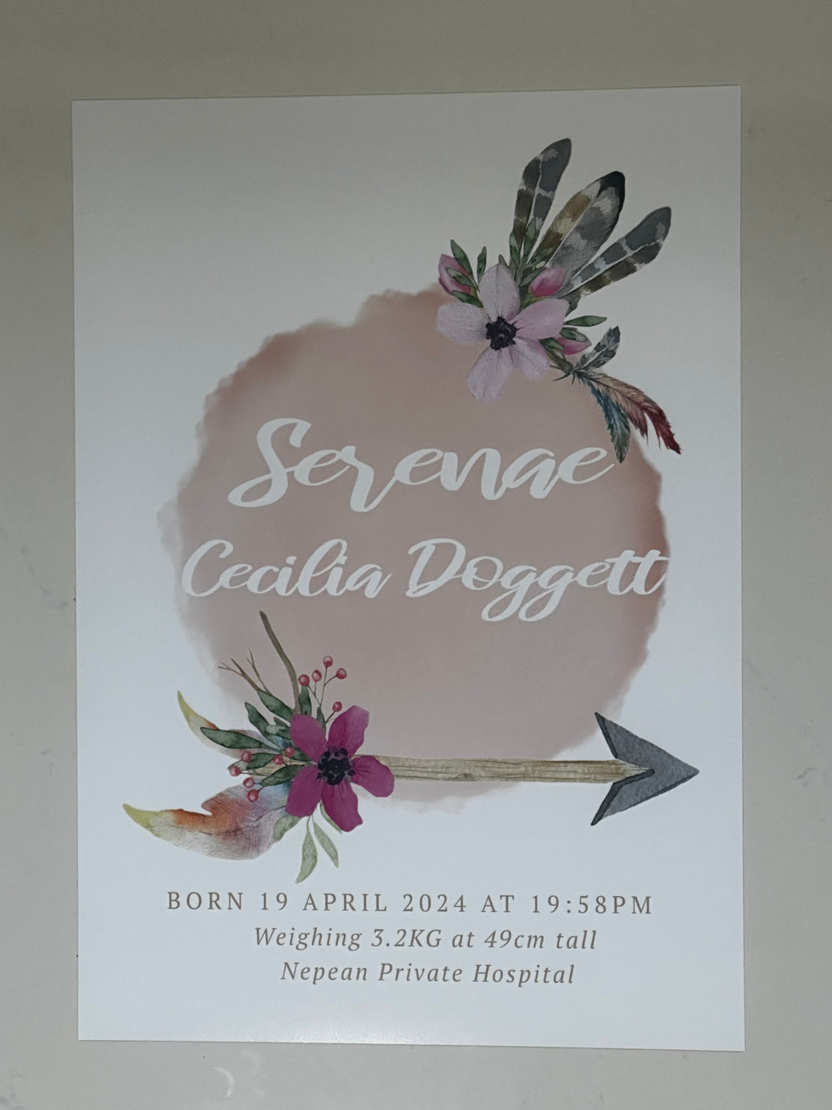 Star Fish | 3 Colours