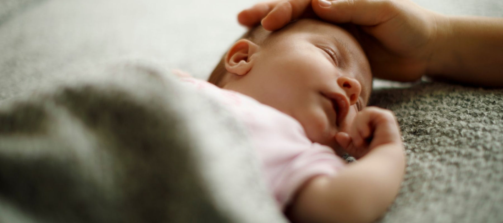 Baby Sleep Training: What You Need to Know