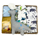Dinosaur Delight Hamper