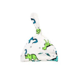 Dinosaur Delight Hamper