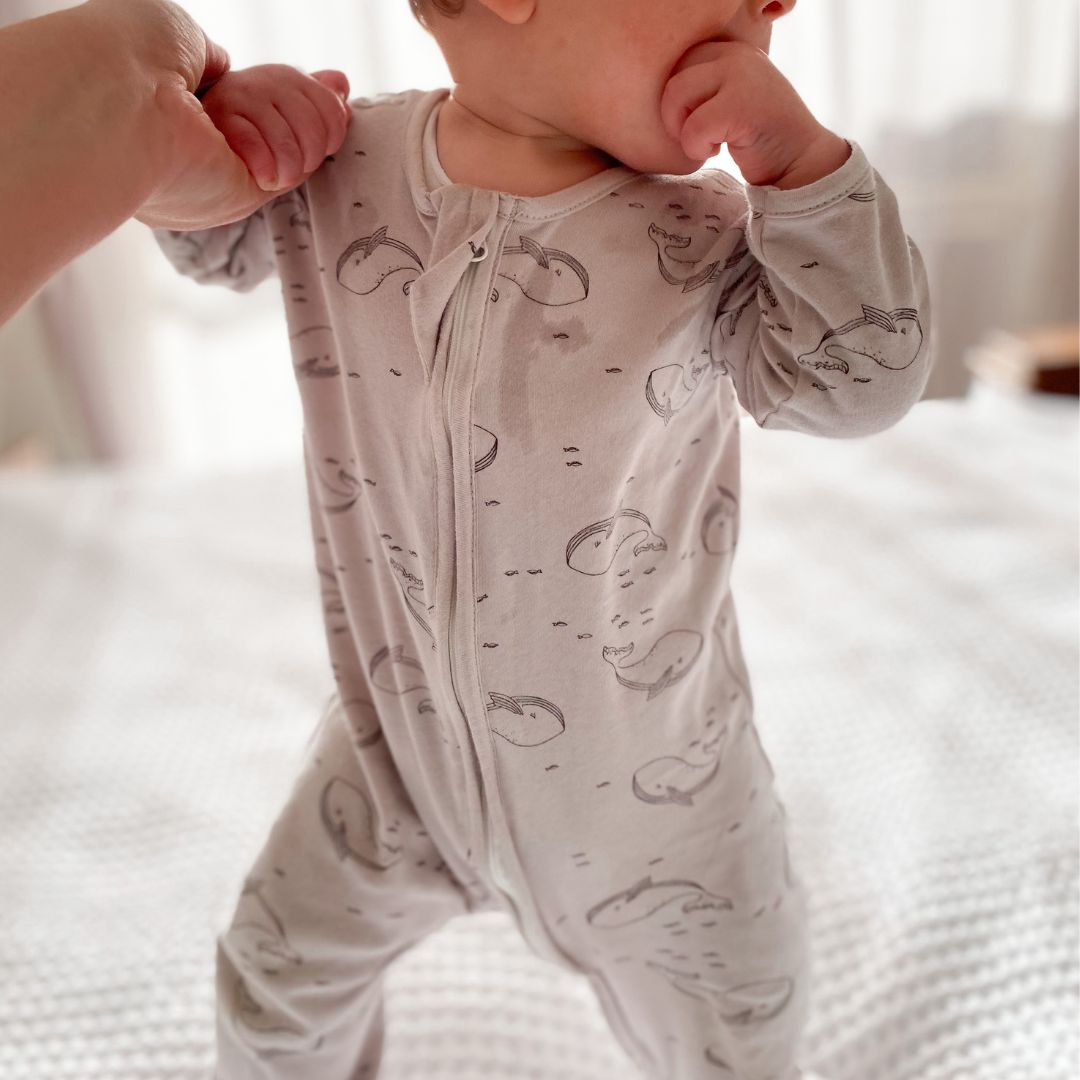 Animals & Whales Romper 2pk