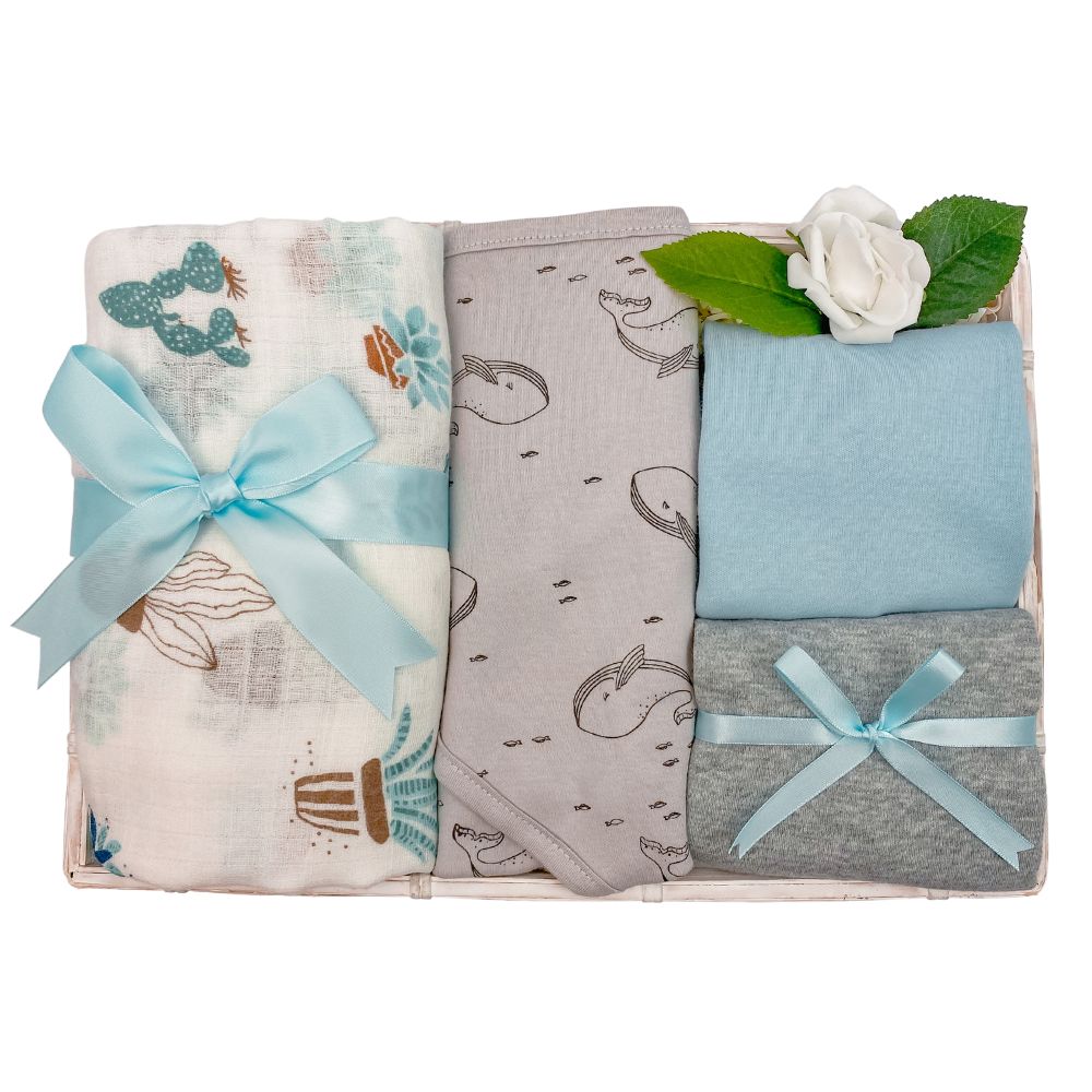Cuddles Boy Baby Hamper