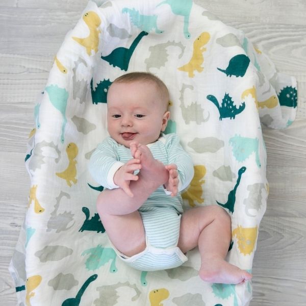 Baby Steps in Black Dinosaur Wrap Nappy Cake