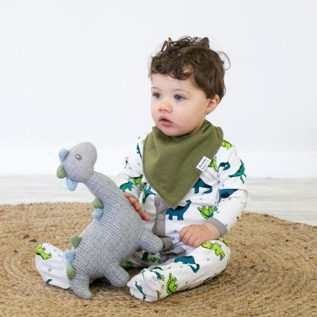 Dinosaur Toy