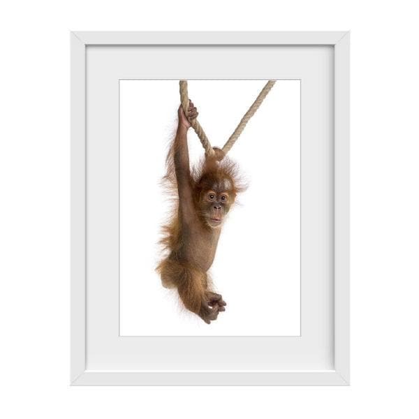 Cheeky Little Monkey nursery print or kids wall art. One monkey hanging on a rope isolated on a white background. Hanging Monkey. Bespoke baby gifts. Nursery Prints. Nursery Wall Art. Monkey Drawing. Baby Animals 