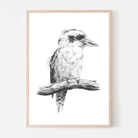 King Kookaburra Wall Art