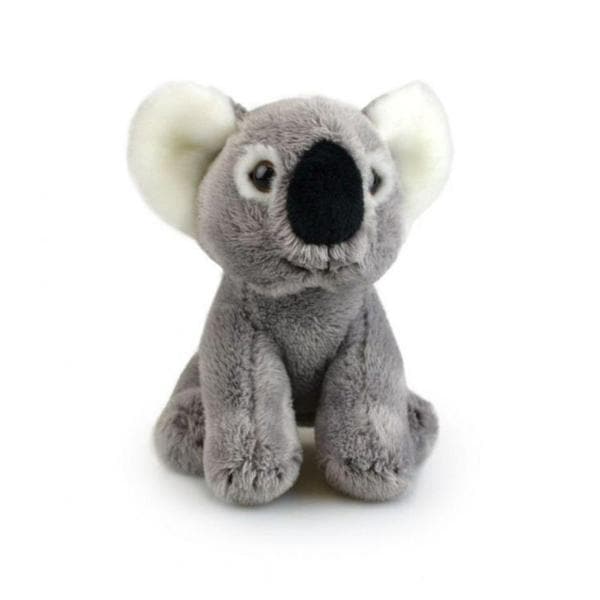 Lil Koala Toy
