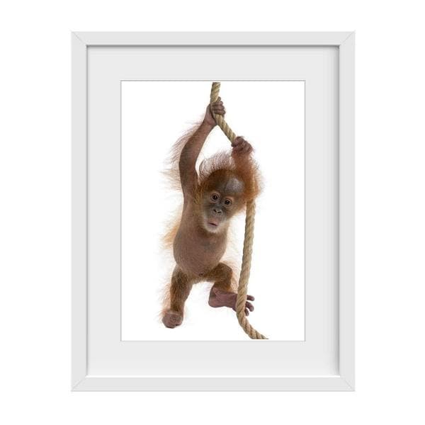 Little Cheeky Monkey - Baby Shower Gifts | Personalised Baby Gifts | Nappy Cakes. Bespoke baby gifts. Nursery wall art. Baby animal art. online gifts australia. white frame. 