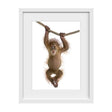 1 Cheeky Monkey Picture - Nursery wall Art, Large Nursery Wall Art, baby nursery decor, baby boy nursery decor, baby girl nursery decor, nursery decor online australia, cheap nursery decorating ideas, baby boy nursery wall art, baby girl nursery wall art, nursery framed wall art 