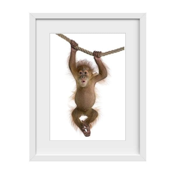 1 Cheeky Monkey Picture - Nursery wall Art, Large Nursery Wall Art, baby nursery decor, baby boy nursery decor, baby girl nursery decor, nursery decor online australia, cheap nursery decorating ideas, baby boy nursery wall art, baby girl nursery wall art, nursery framed wall art 