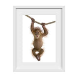1 Cheeky Monkey Picture - Nursery wall Art, Large Nursery Wall Art, baby nursery decor, baby boy nursery decor, baby girl nursery decor, nursery decor online australia, cheap nursery decorating ideas, baby boy nursery wall art, baby girl nursery wall art, nursery framed wall art 